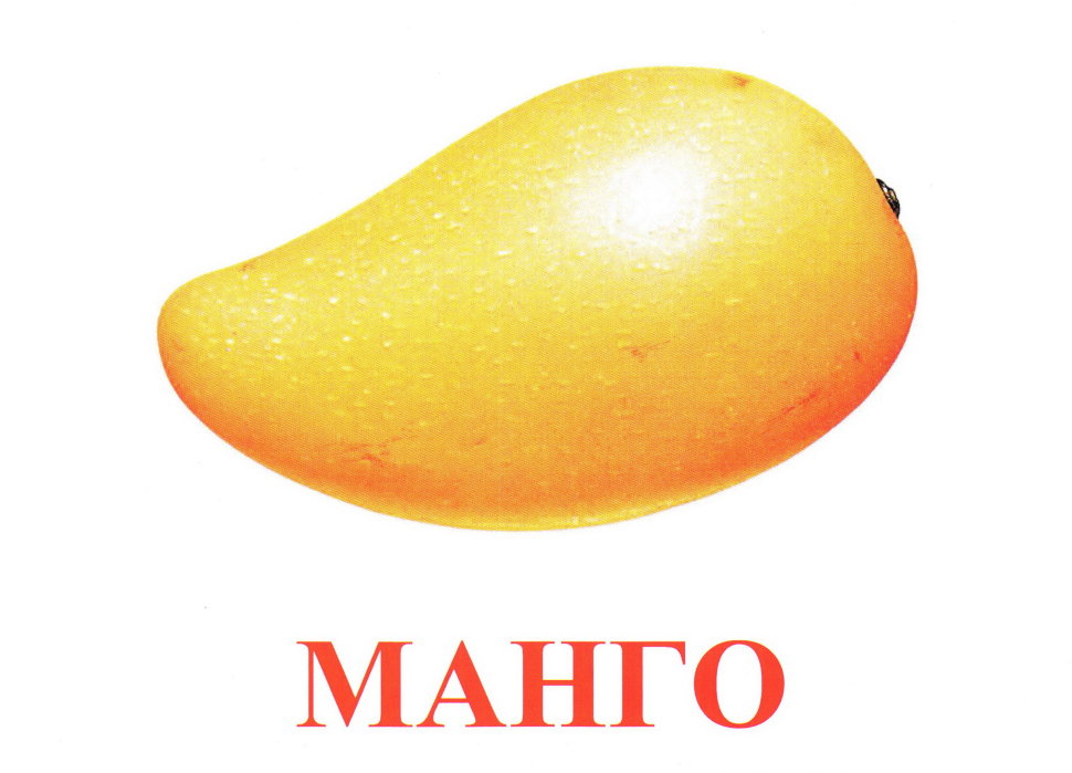 Contraindicaciones del mango
