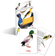 Карточки Домана "Птицы наших лесов"