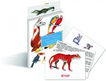 Карточки Домана"Животные Южной Америки"