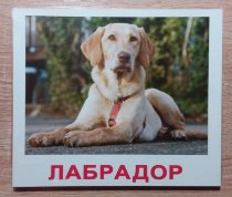 Карточки Домана "Породы собак"