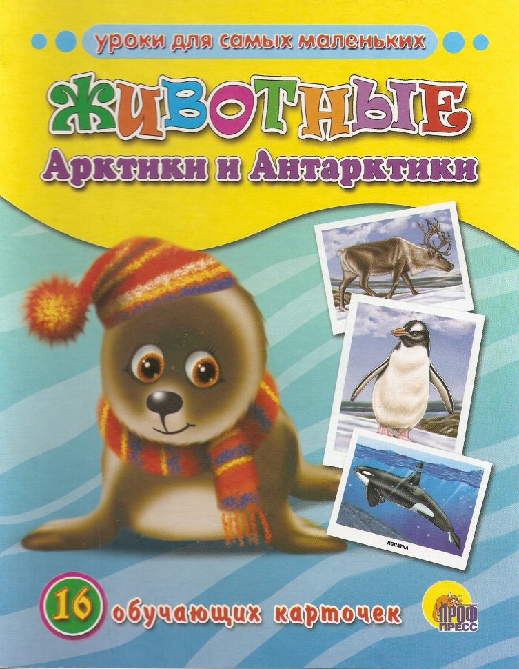 Комплект карточек Животные Арктики и Антарктики-купить развивающие  карточки - интернет магазин - доставка по России