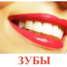 К52 Зубы-обложка.jpg
