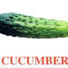 E07 Cucumber -обложка (2).jpg