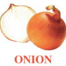 E07 Onion (2).jpg