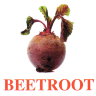 E08 Beetroot (2).jpg