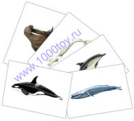 Карточки Домана "Млекопитающие: морские"