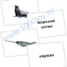Карточки Домана Морские млекопитающие 02.jpg