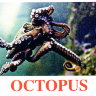 E15 Octopus.jpg