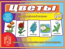 Демонстрационный материал "Цветы (лесные, луговые, садовые)"