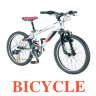 E40 Bicycle.jpg