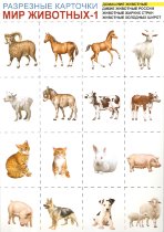 Разрезные карточки "Мир животных-1"