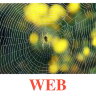 E37 Web.jpg