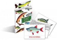 Карточки Домана "Речные рыбы"