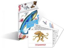 Карточки Домана "Морские животные"