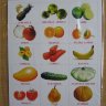 L02 англ.лото Fruit-Vegetables в упаковке.JPG