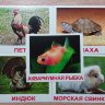 Карточки Домана "Домашние животные. МИНИ-20"