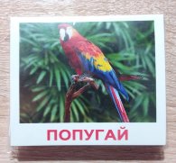 Карточки Домана "Домашние животные и детеныши. МИНИ-40" 