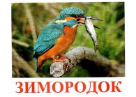 Карточки Домана "Птицы-3"