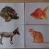 Карточки Домана "Домашние животные" без фактов